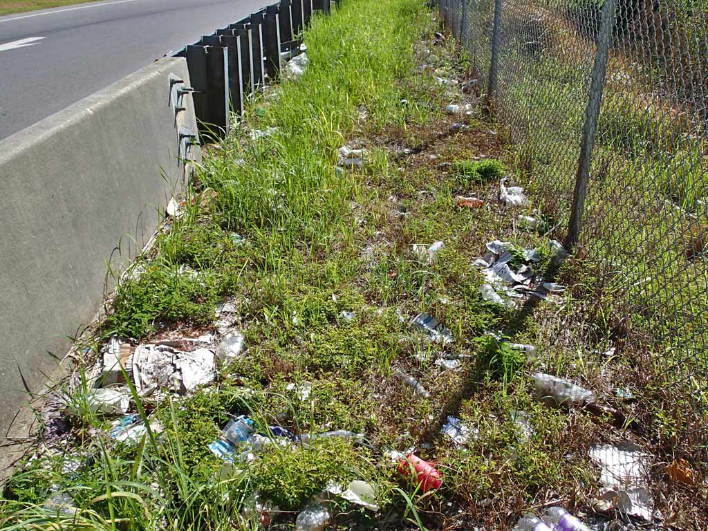 Roadside Litter