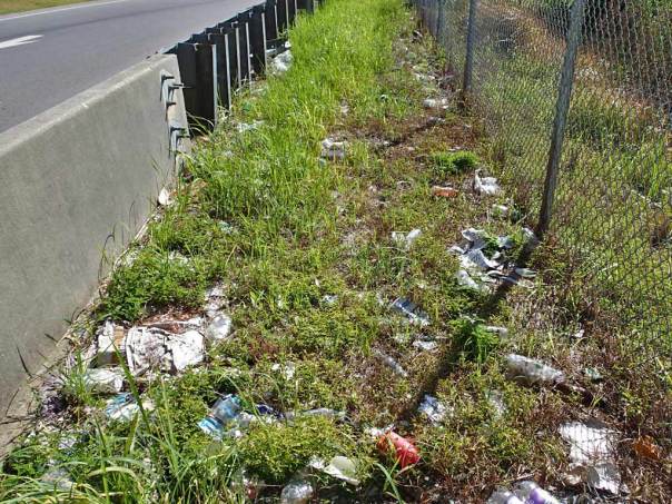 Roadside Litter